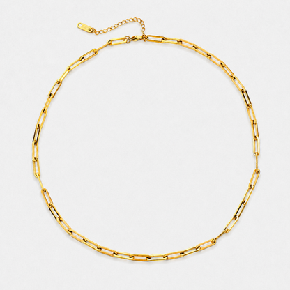 Dainty Gold Link Chain Necklace - Default Title